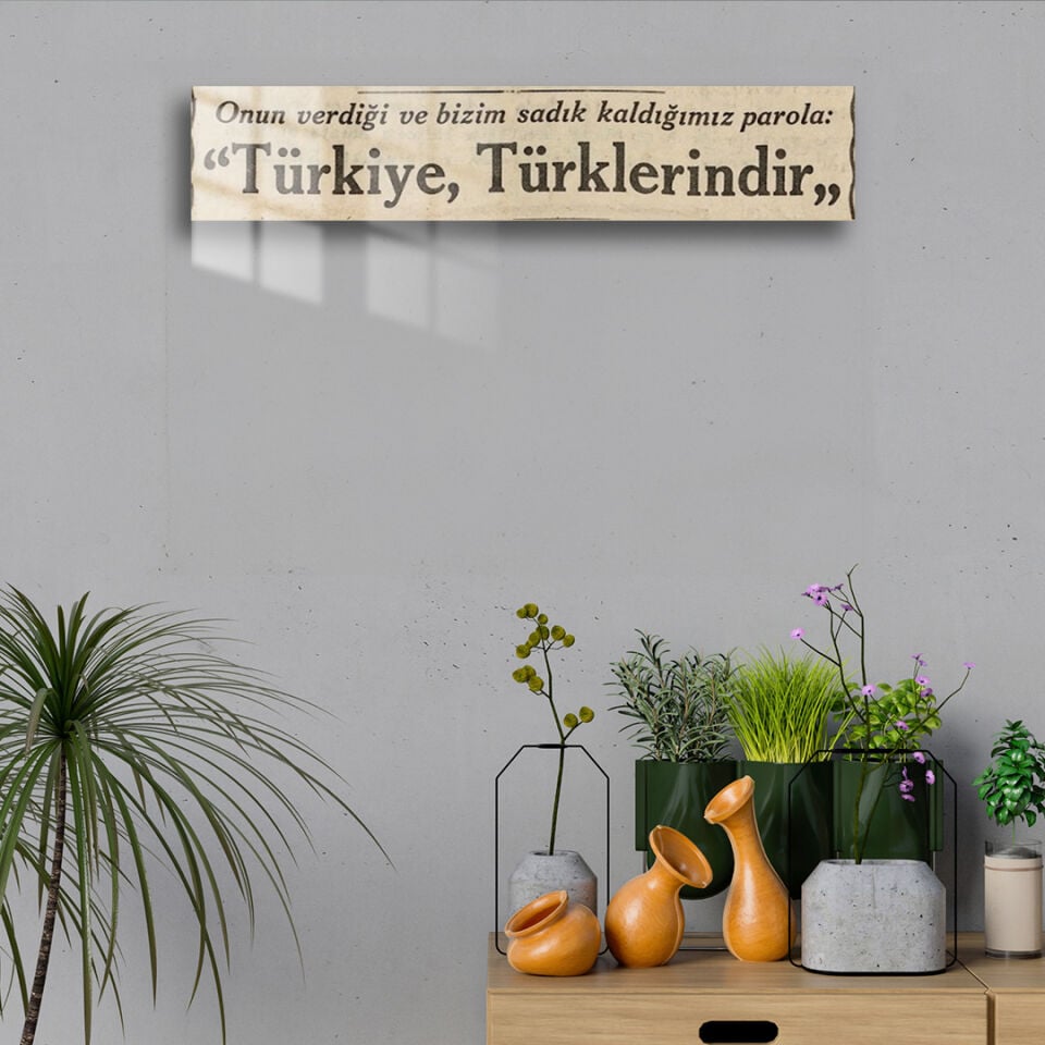 Türkiye Türklerindir 01 Metal Poster