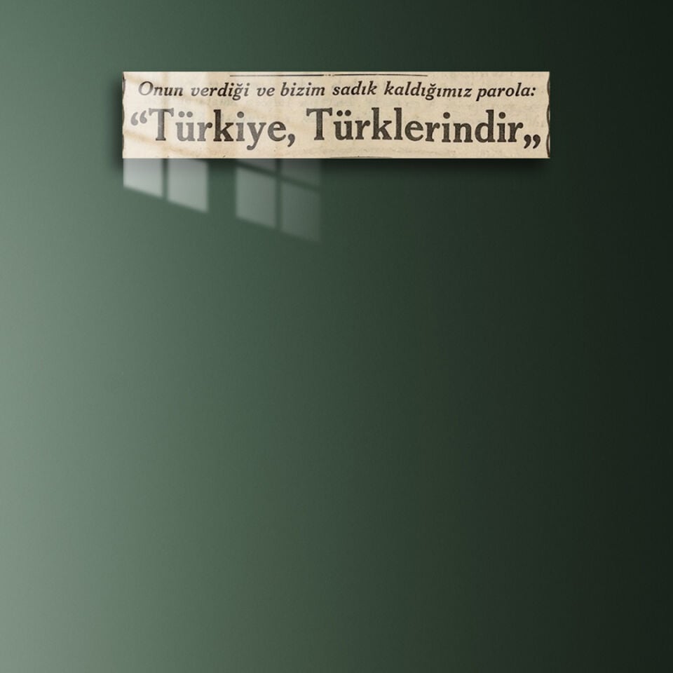 Türkiye Türklerindir 01 Metal Poster