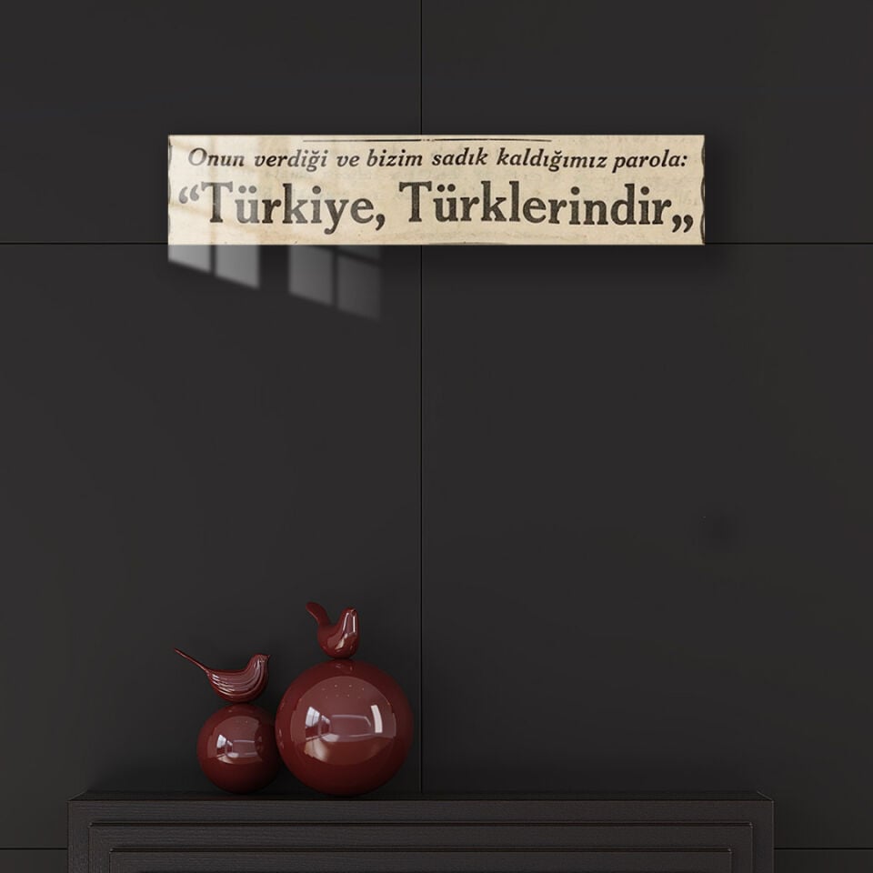 Türkiye Türklerindir 01 Metal Poster
