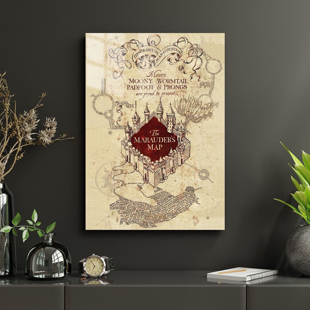 Harry Potter 12 Metal Poster
