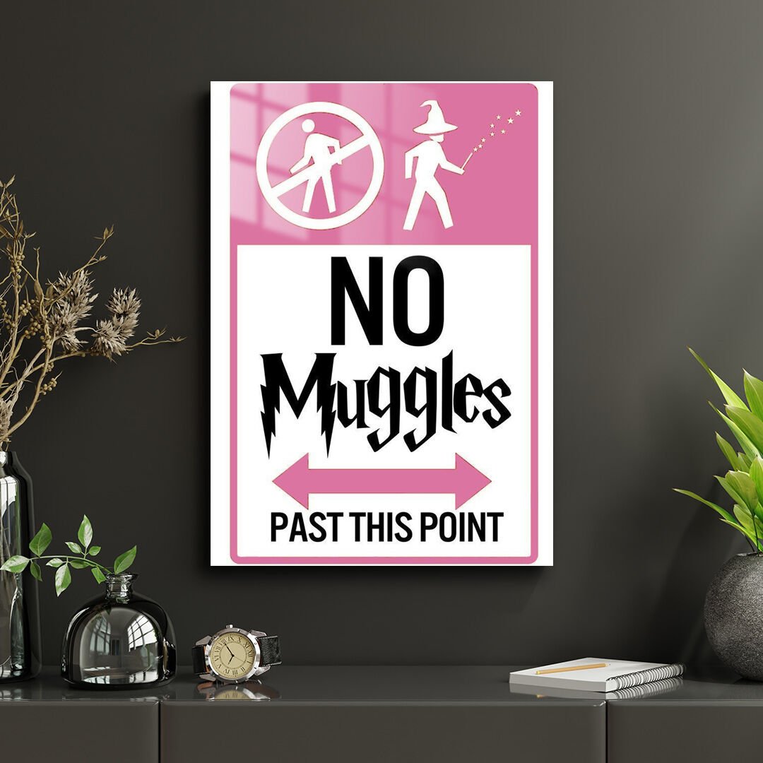 Harry Potter 17 Metal Poster