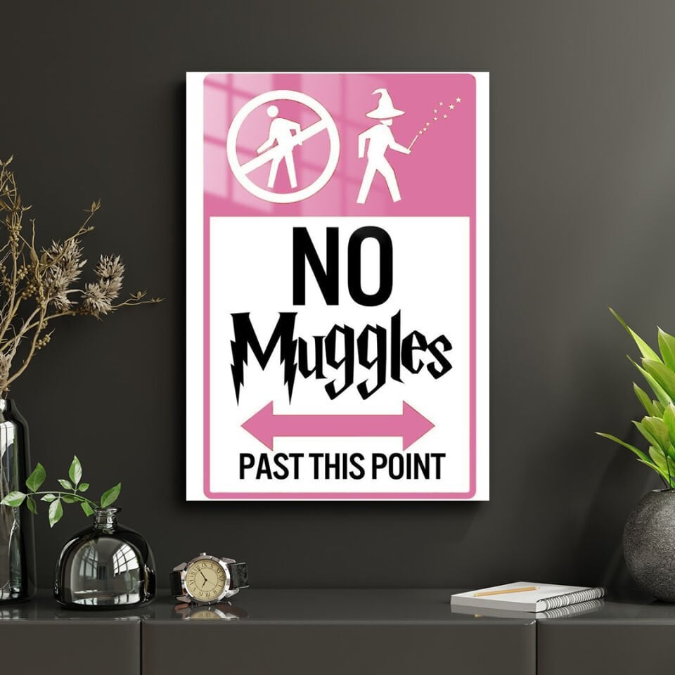 Harry Potter 17 Metal Poster
