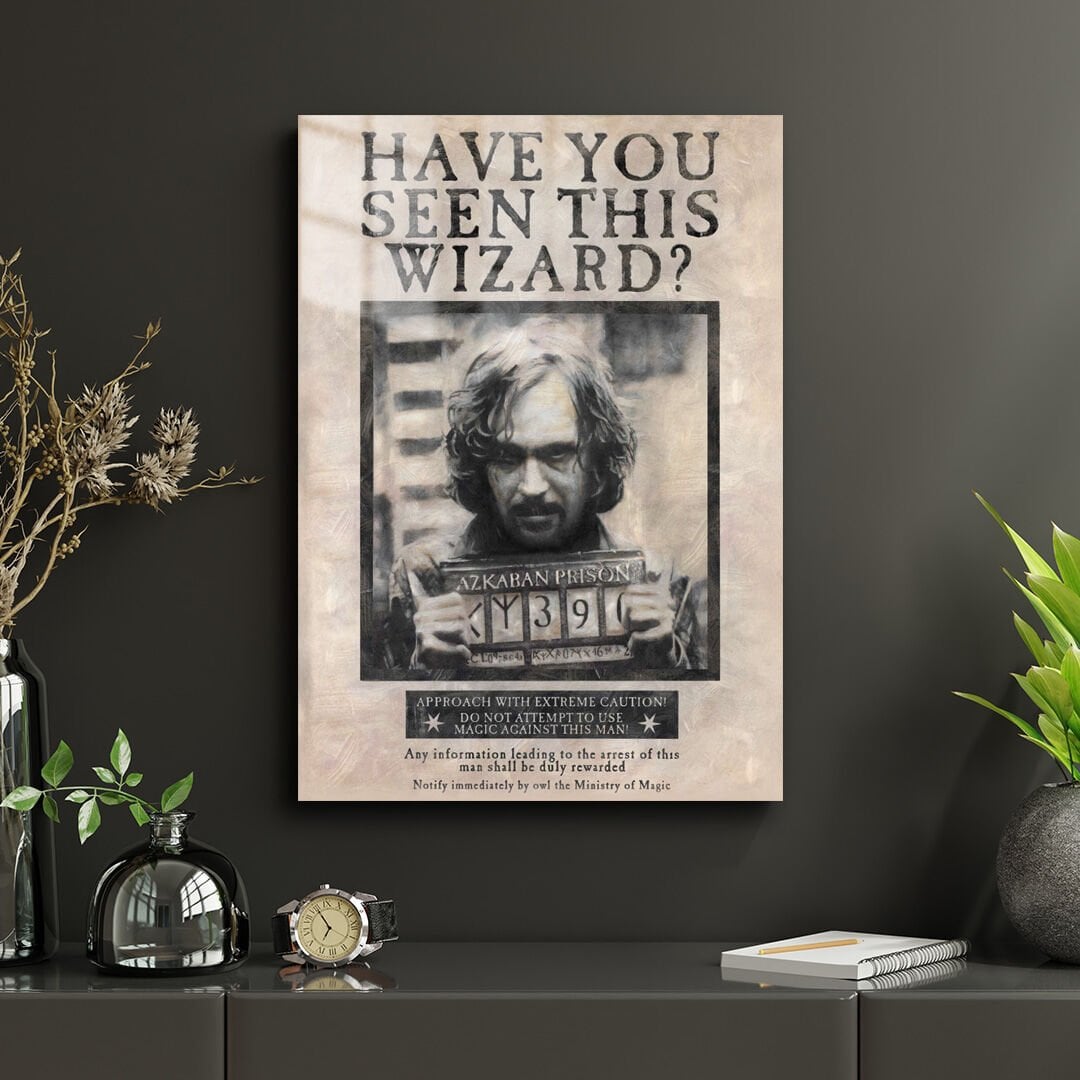 Harry Potter 20 Metal Poster