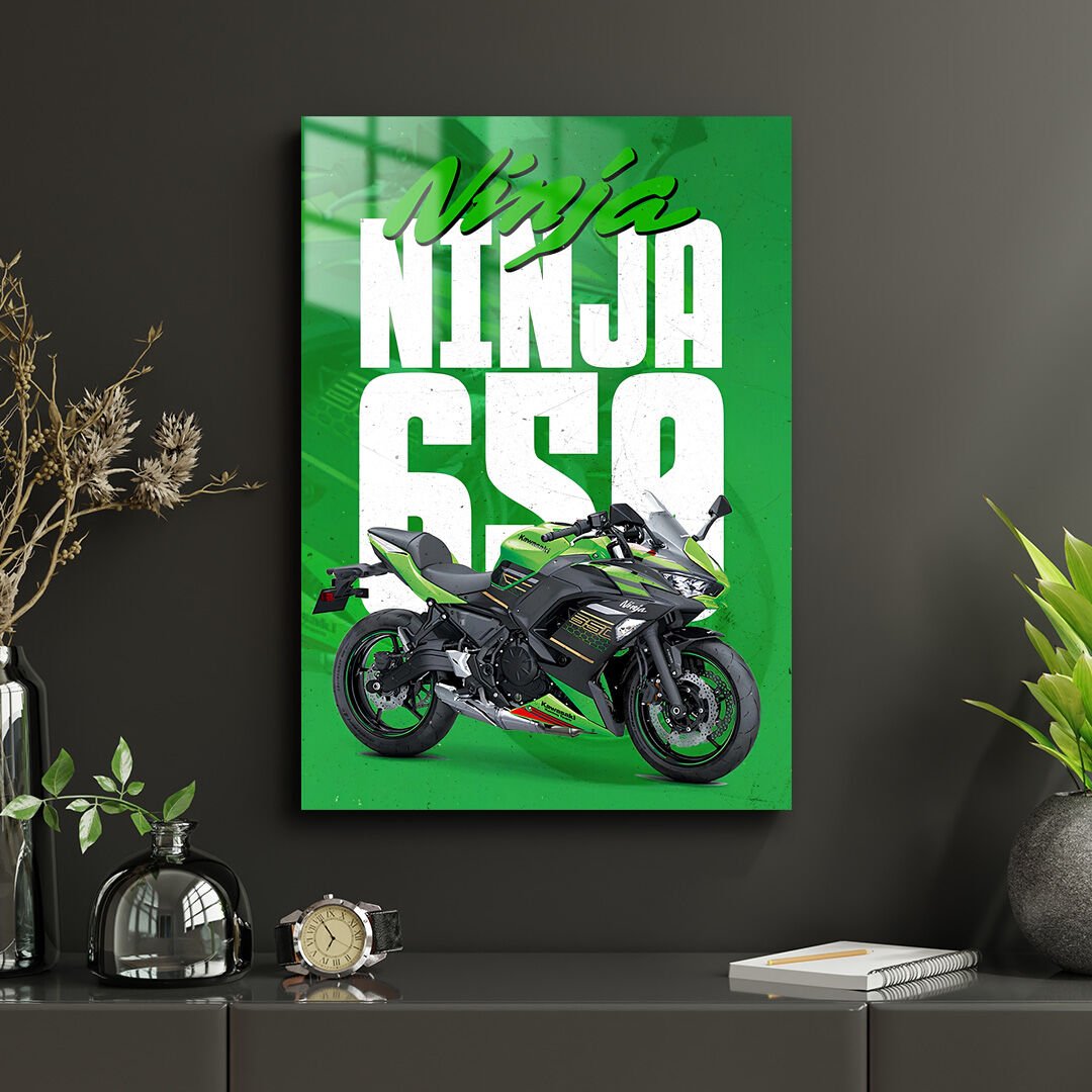 Kawasaki Ninja 650 01 Metal Poster