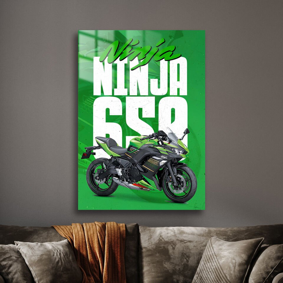 Kawasaki Ninja 650 01 Metal Poster
