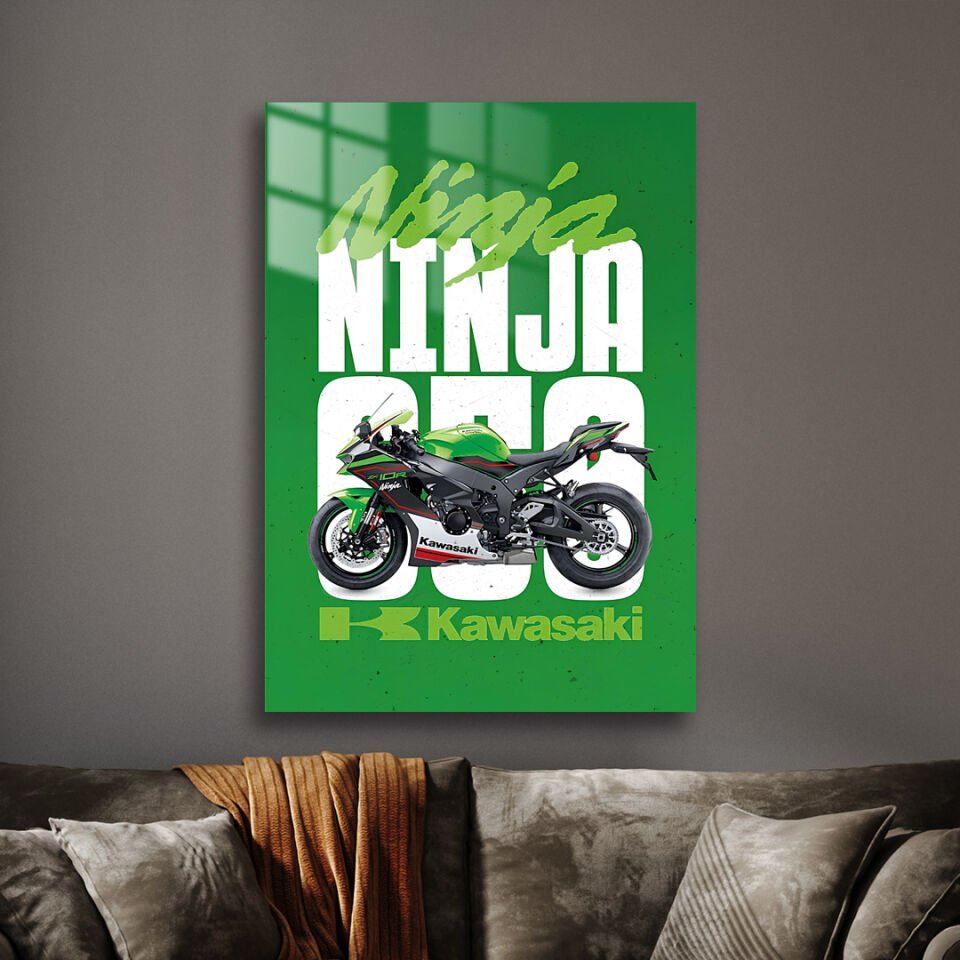 Kawasaki Ninja ZX-10R 01 Metal Poster