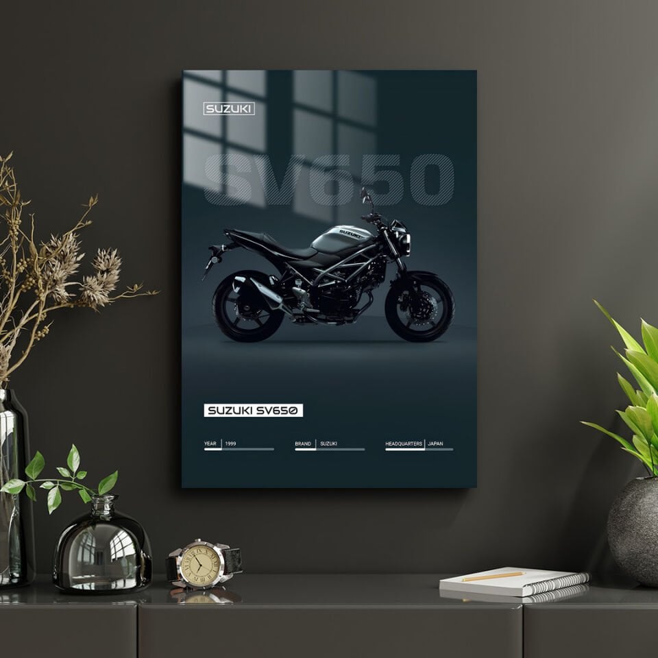 Suzuki SV650 01 Metal Poster
