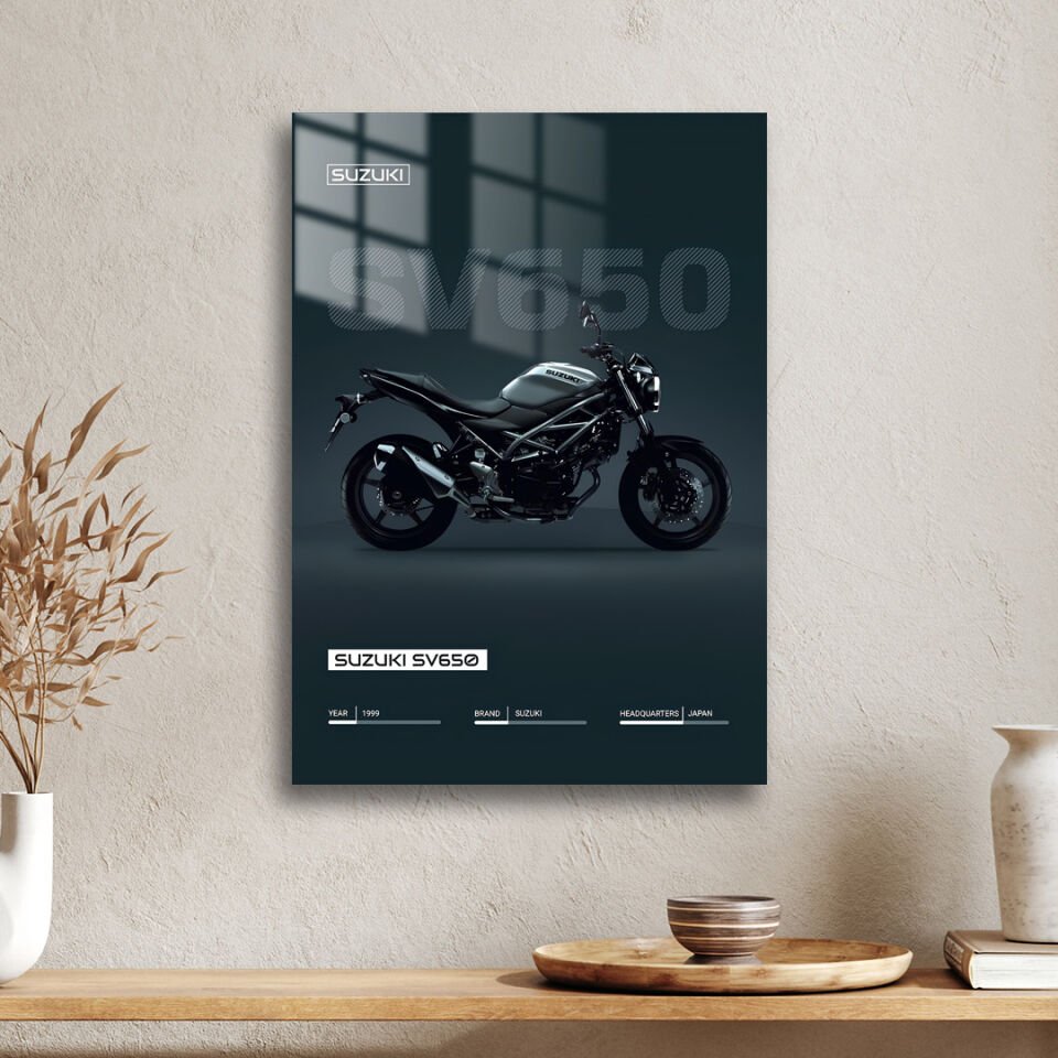 Suzuki SV650 01 Metal Poster