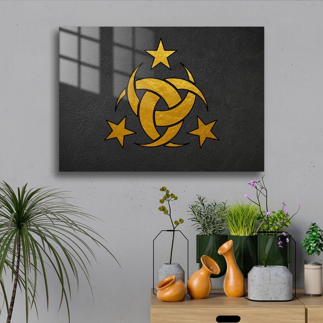 Teşkilatı Mahsusa Amblemi 02 Metal Poster