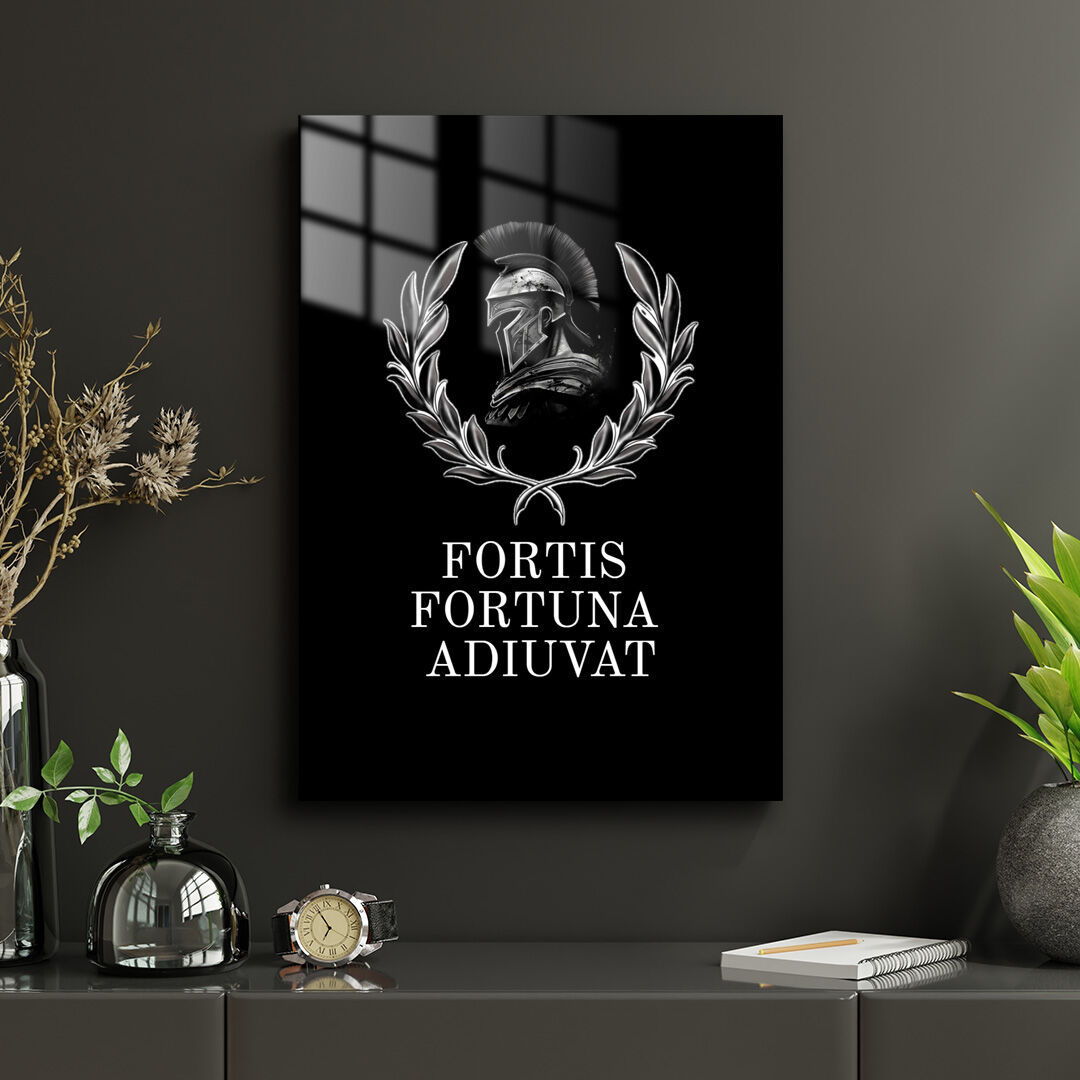 Fortis Fortuna Adiuvat 02 Metal Poster