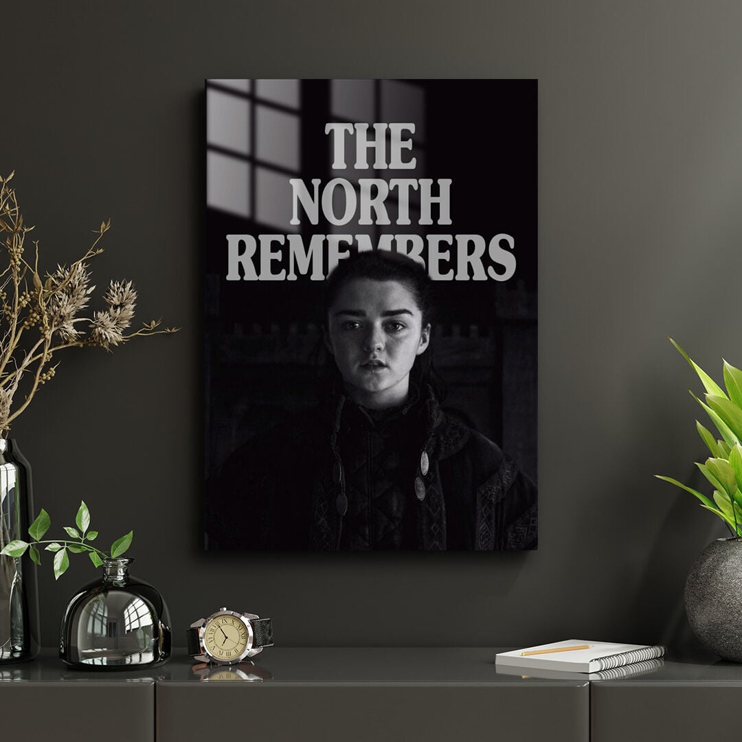 Game Of Thrones 24 Metal Poster